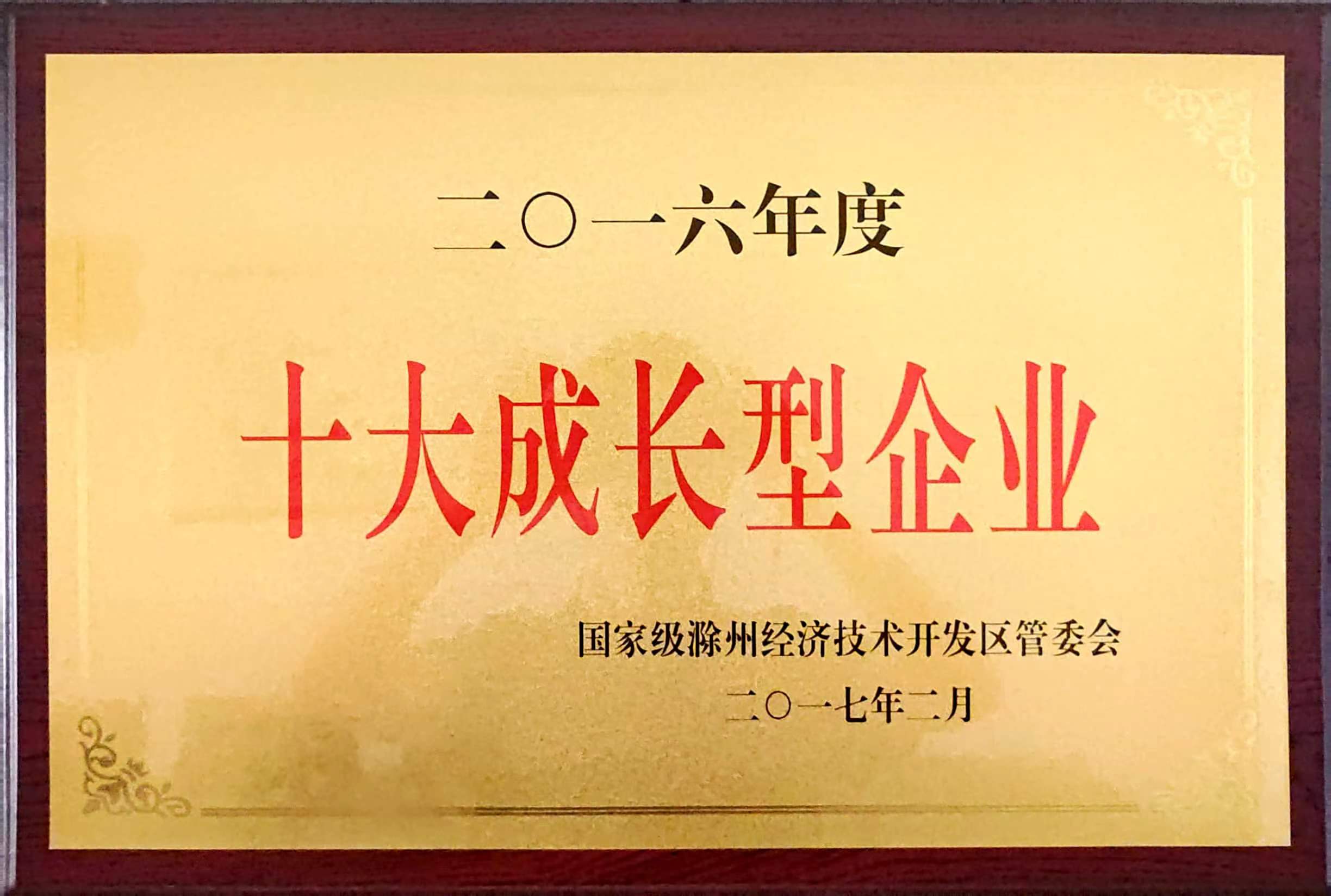 十大成長型企業(yè).jpg
