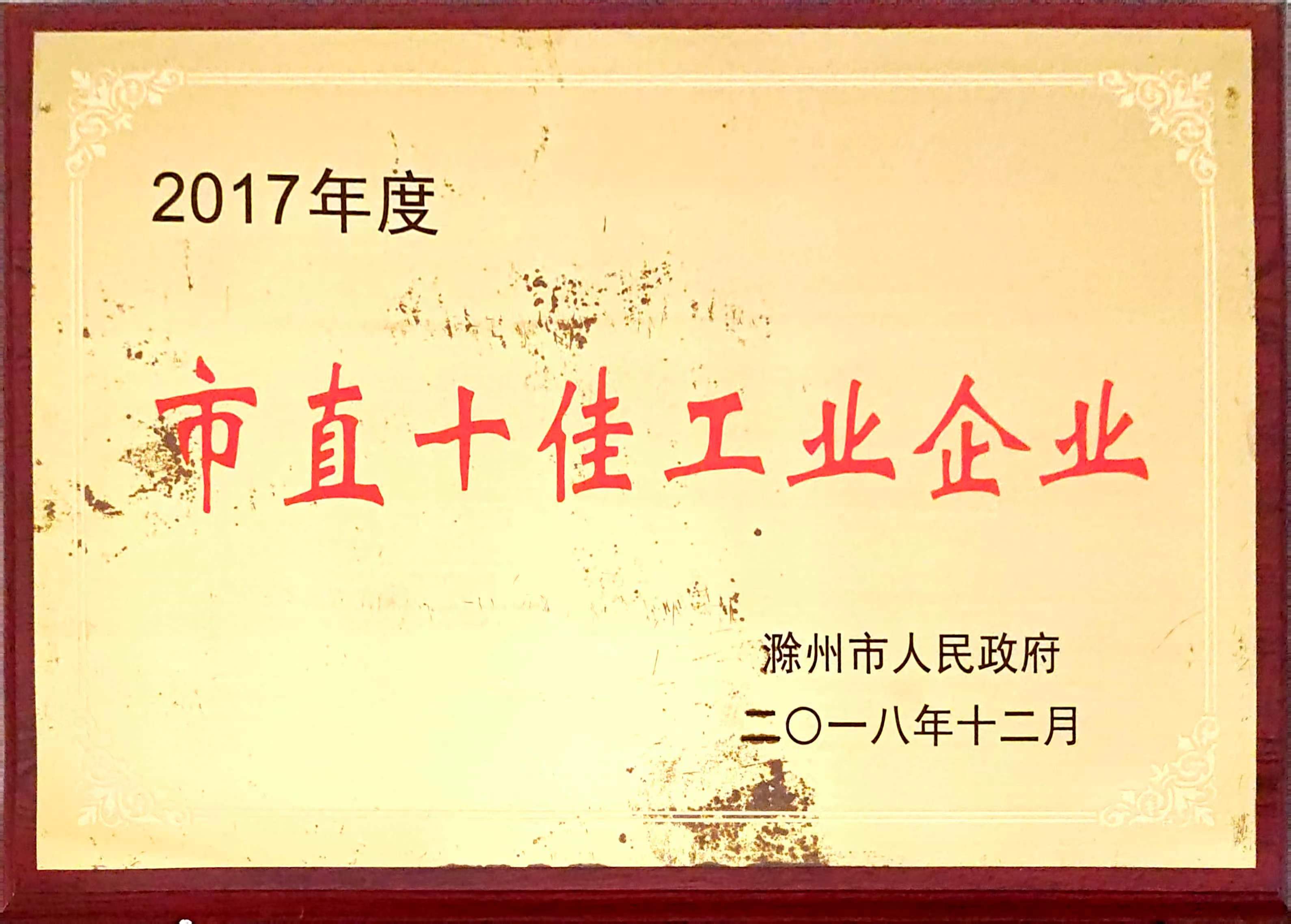 市直十佳工業(yè)企業(yè)—2017.jpg